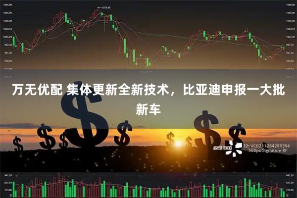 万无优配 集体更新全新技术，比亚迪申报一大批新车