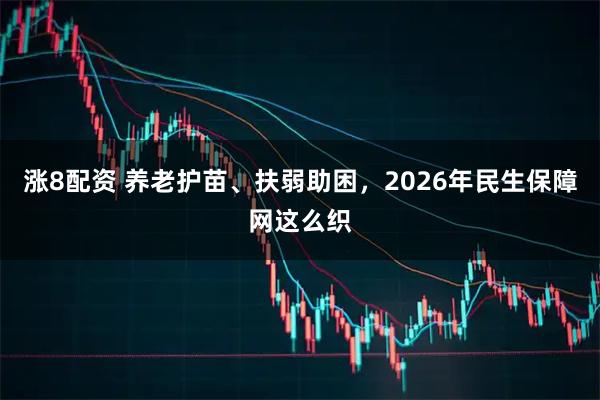 涨8配资 养老护苗、扶弱助困，2026年民生保障网这么织